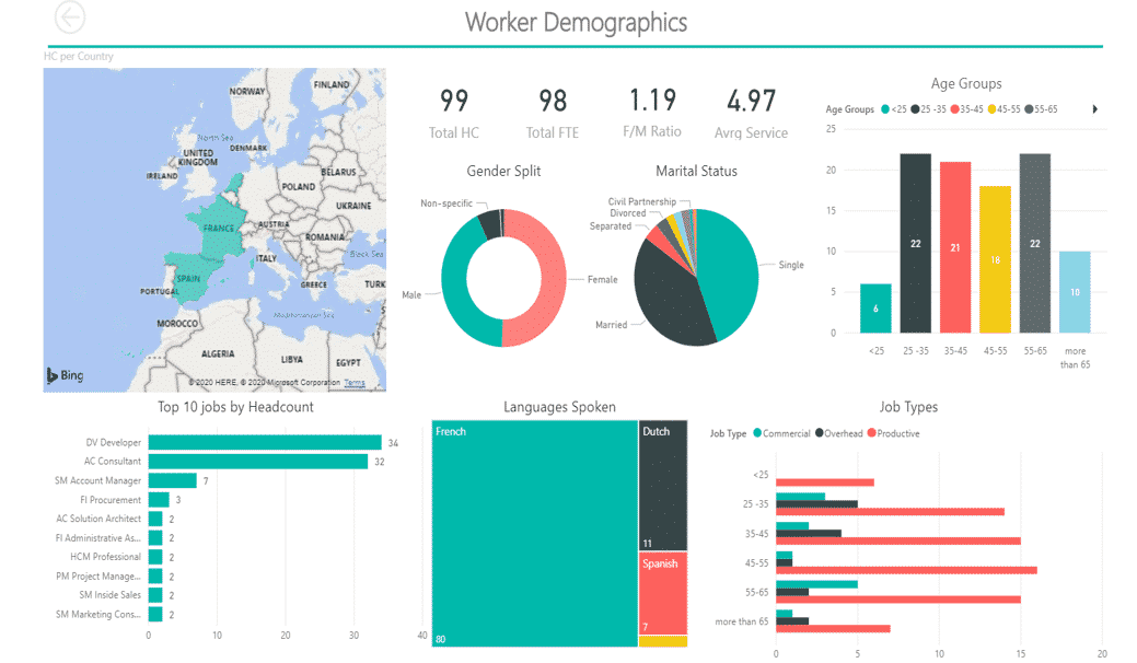 BI Human Resource Demografische Daten Dashboard