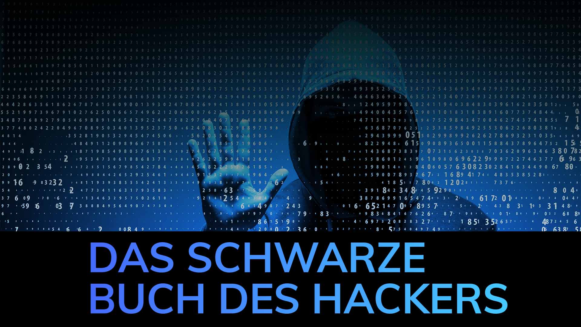 Das schwarze Buch des Hackers Ebook Prodware