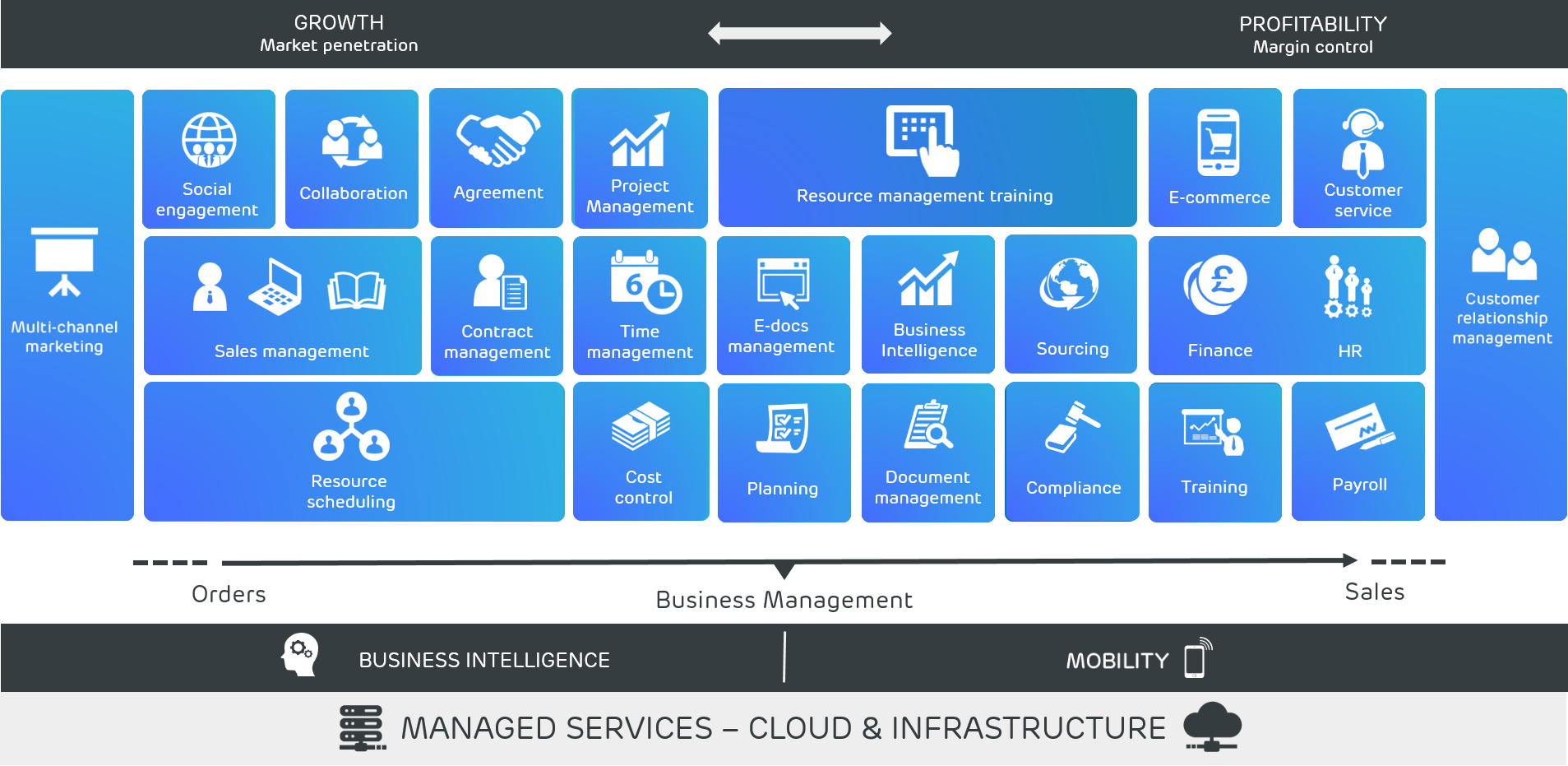 Prodware Professional Services chart