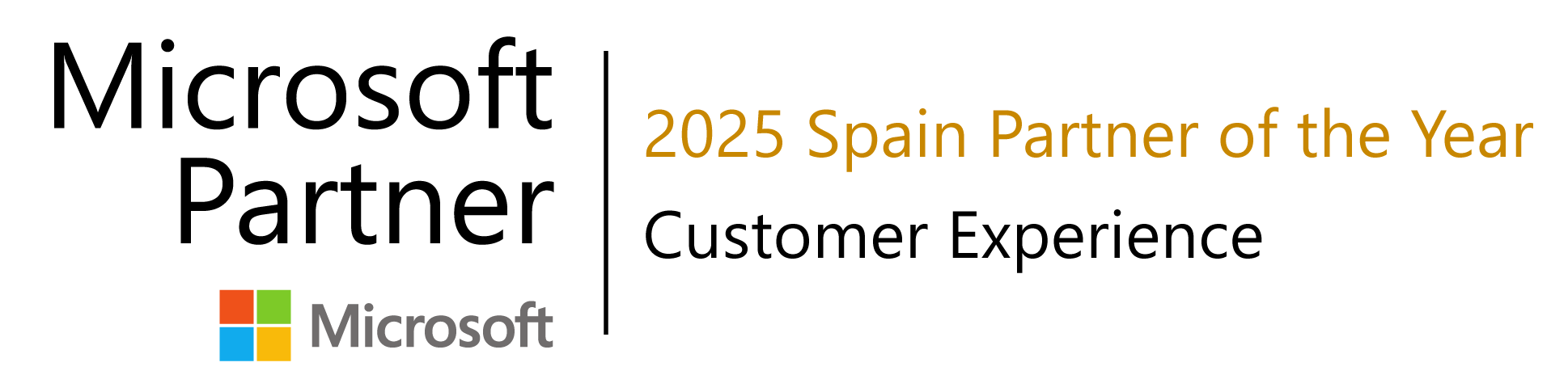 Partner of the year 2025 Customer Experience