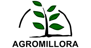 Agromillora