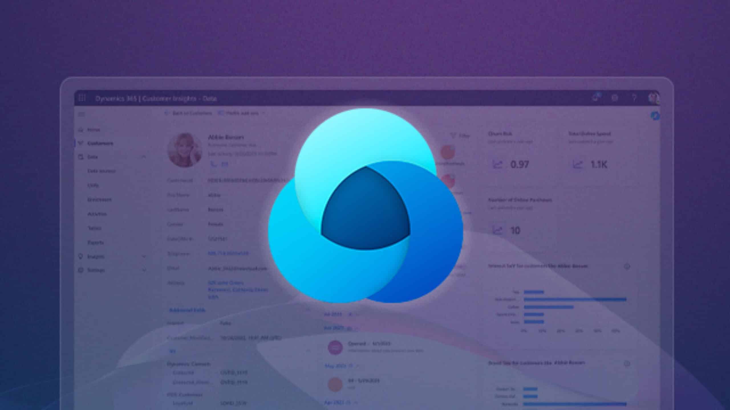 Microsoft Dynamics 365 Customer Insights Data