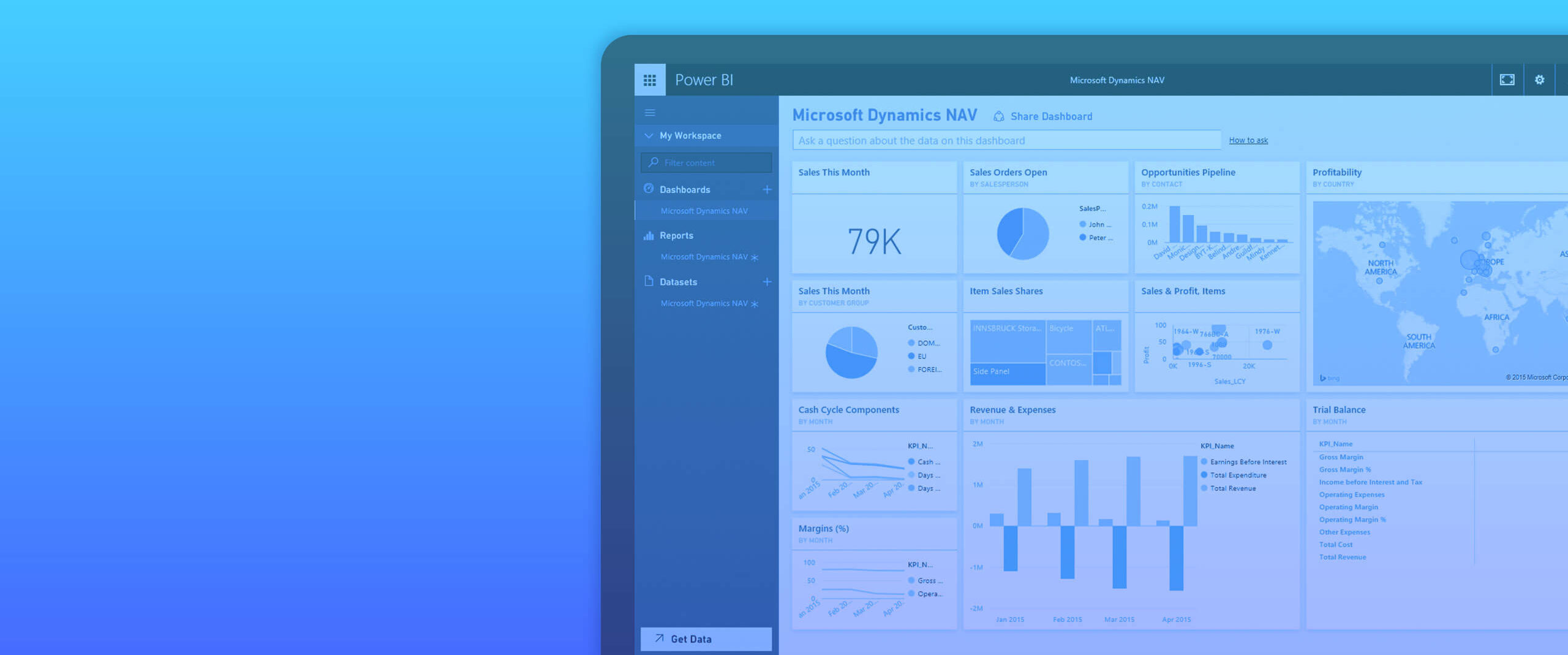 microsoft dynamics nav