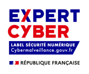 expert cyber