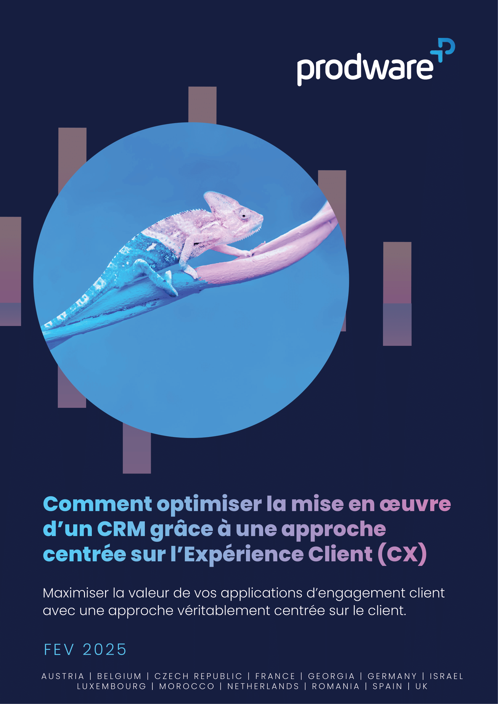 How to enhance CRM implementation with a Customer Experience (CX) approach whitepaper Feature image
