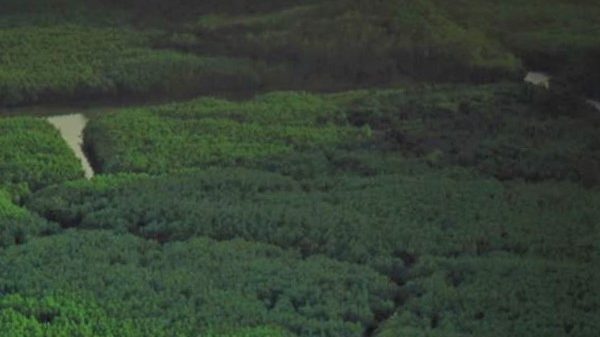 Microsoft Cloud for Sustainability