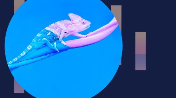 Verbeter je CRM implementatie met een CX benadering