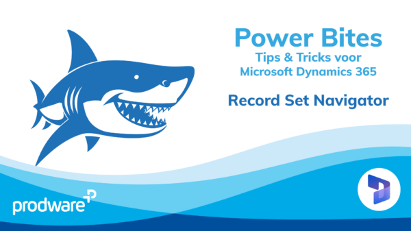 Record set navigator