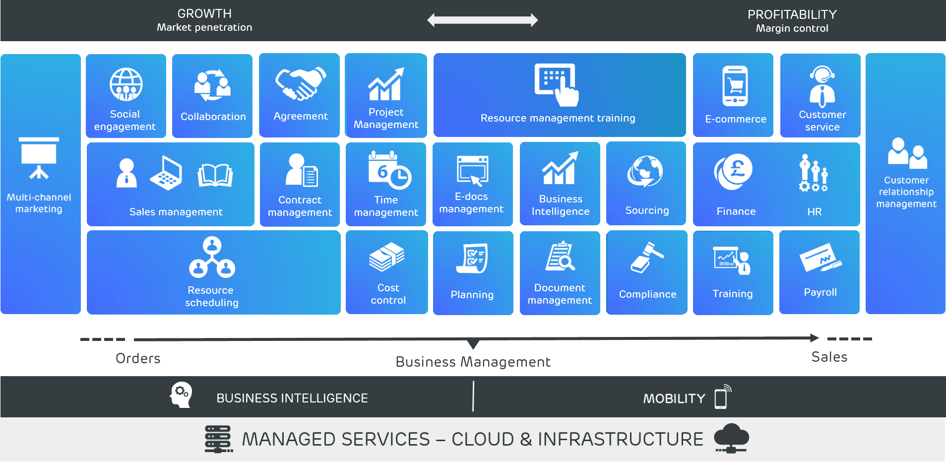 Prodware Professional Services chart