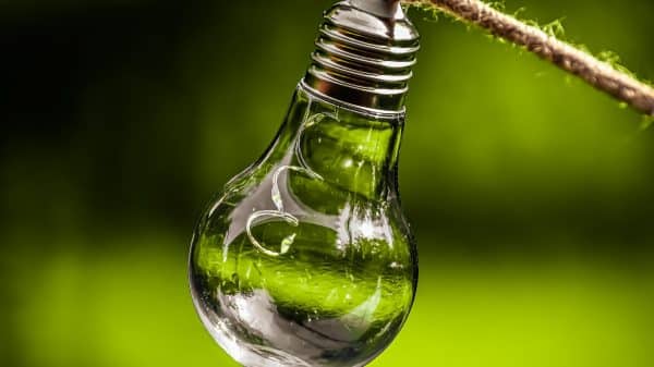 Ecology & Innovation: the Present is already the Past thumbnail
