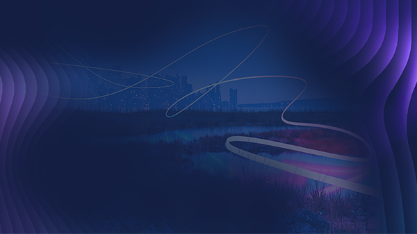Turn Data into Decisions That Drive Growth